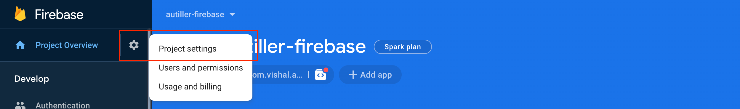 Firebase Project settings