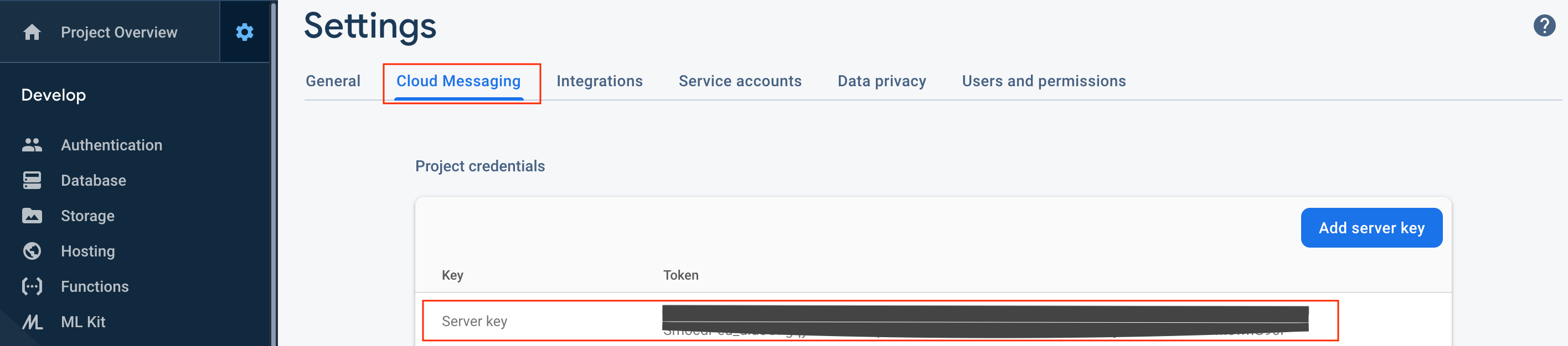 Firebase app server key